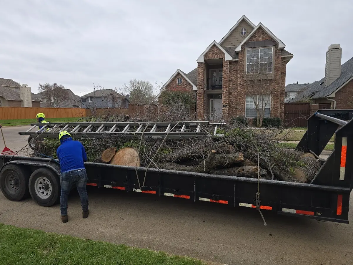 Expert Lot Clearing with proper safety equipment in Denver